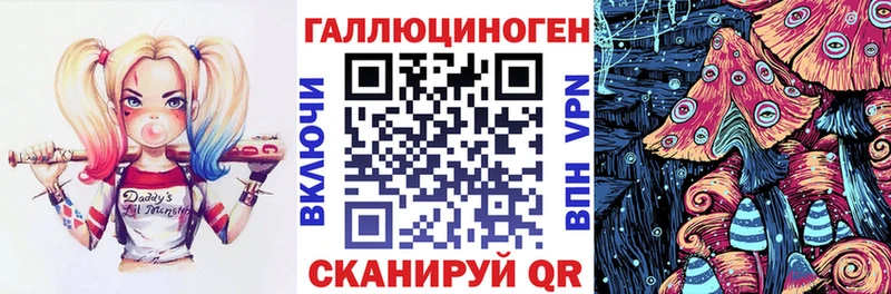 как найти   Копейск  Галлюциногенные грибы Psilocybe 